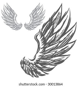 Wings (Hand Drawn Vector Illustration)