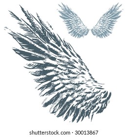 Wings (Hand Drawn Vector Illustration)