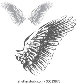 Wings (Hand Drawn Vector Illustration)