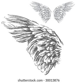 Wings (Hand Drawn Vector Illustration)