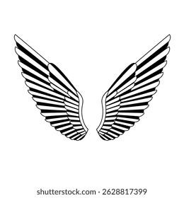Wings icons set on transparent background