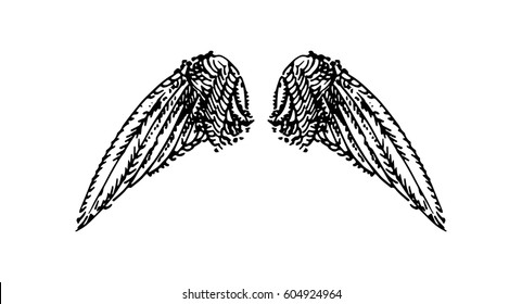Wings illustration