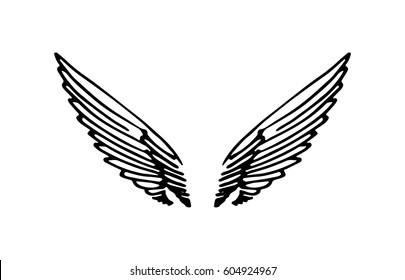 Wings illustration