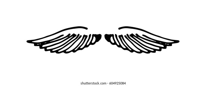 Wings illustration
