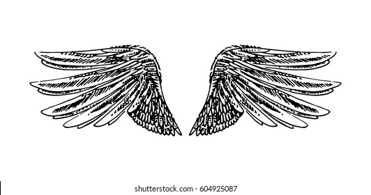 Wings illustration