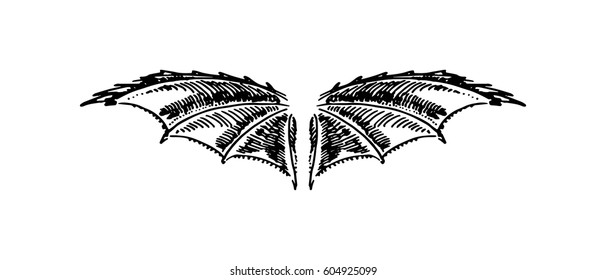 Wings illustration