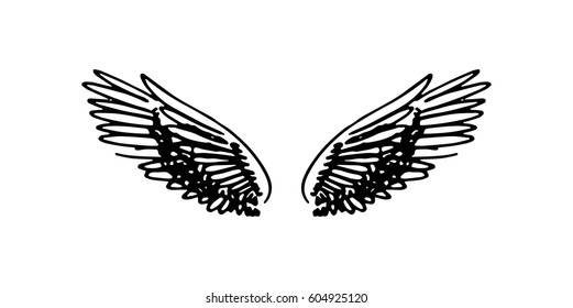 Wings illustration
