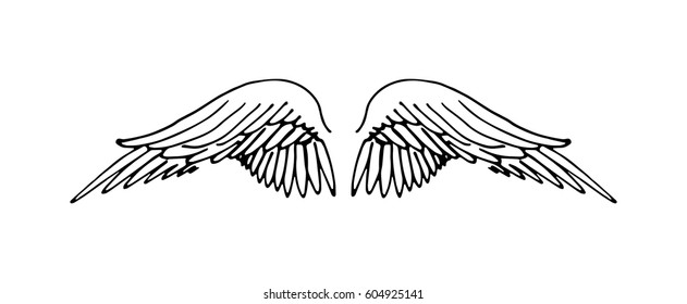 Wings illustration
