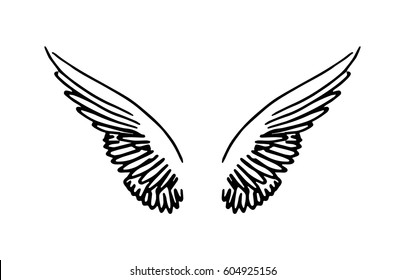 Wings illustration
