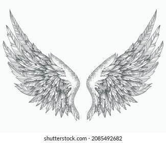 Wings illustration with engraving style concept
