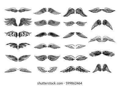 Wings illustration set