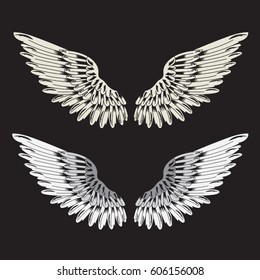 Wings illustration, tee shirt graphics, vectors