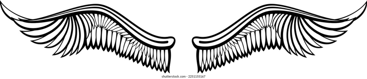 Dibujo de tinta de alas. Bird plumas de tatuaje negro