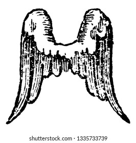 Las alas invertidas tienen las plumas apuntando hacia abajo, el dibujo de líneas vintage o la ilustración de grabado.