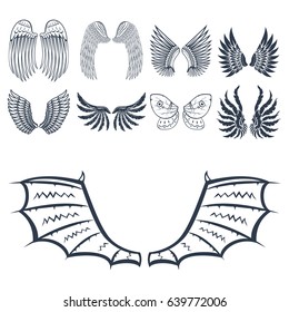 Wings isolated animal feather pinion bird freedom flight natural peace design vector illustration.