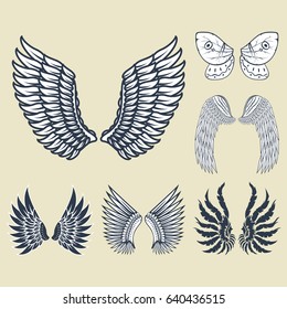 Wings isolated animal feather pinion bird freedom flight natural peace design vector illustration.