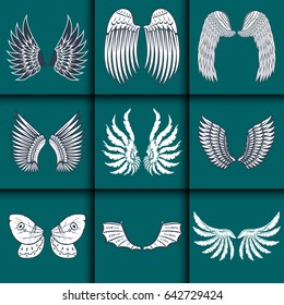 Wings isolated animal feather pinion bird freedom flight natural peace design vector illustration.