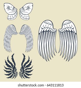 Wings isolated animal feather pinion bird freedom flight natural peace design vector illustration.