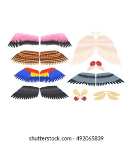 Wings isolated collection animal feather and wings isolated pinion