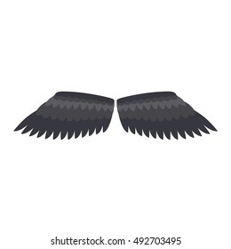 Wings isolated collection animal feather and wings isolated pinion