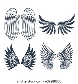 Wings isolated feather pinion bird freedom flight design vector illustration.