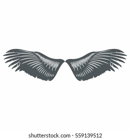 Wings isolated on white background. Design elements for logo, label, emblem, sign, brand mark. Vector illustration.