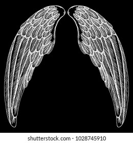 Wings pair set. Hand drawn detailed bird wings. Card, poster, t-shirt, smart phone, CD print design. Vector.