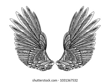 Wings pair set. Hand drawn detailed bird wings. Card, poster, t-shirt, smart phone, CD print design. Vector.