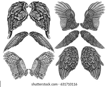 Wings pair set. Hand drawn detailed bird and angel wings. Vector.