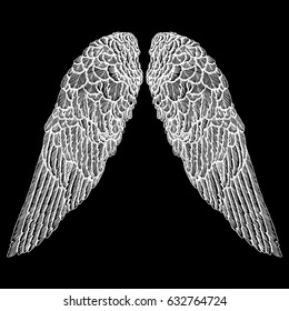Wings pair set. Hand drawn detailed bird wings. Card, poster, t-shirt, smart phone, CD print design. Vector.