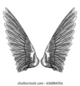 Wings pair set. Hand drawn detailed bird wings. Card, poster, t-shirt, smart phone, CD print design. Vector.