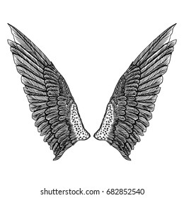 Wings pair set. Hand drawn detailed bird wings. Card, poster, t-shirt, smart phone, CD print design. Vector.