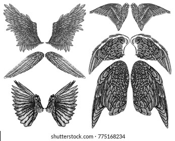 Wings pair set. Hand drawn detailed bird and angel wings. Vector.