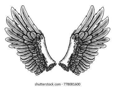 Wings pair set. Hand drawn detailed bird wings. Card, poster, t-shirt, smart phone, CD print design. Vector.