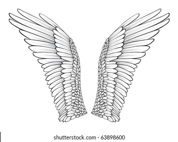 Wings (Realistic Illustration / Design Elements)