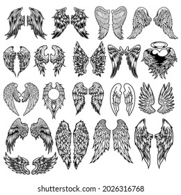 Wings Set Bird Black and  White tattoo Vector