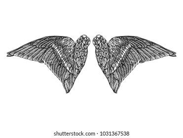 Wings. Set of black white bird and angel wings in open position isolated vector illustration. 
