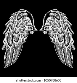 Wings. Set of black white bird and angel wings in open position isolated vector illustration. 