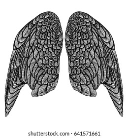 Wings. Set of black white bird and angel wings in open position isolated vector illustration. 
