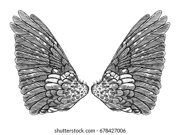Wings. Set of black white bird and angel wings in open position isolated vector illustration. 