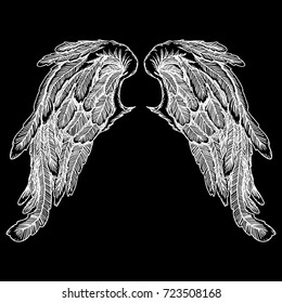 Wings. Set of black white bird and angel wings in open position isolated vector illustration. 