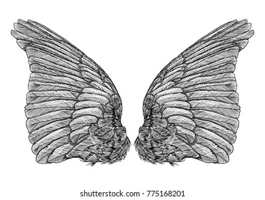 Wings. Set of black white bird and angel wings in open position isolated vector illustration. 