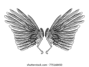 Wings. Set of black white bird and angel wings in open position isolated vector illustration. 