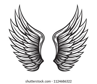 Wings set. Hand drawn detailed wings collection vector illustration