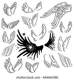 Wings set linear silhouette isolated on background, vector illustration