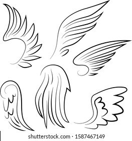Wings set on white background vector illustration hand draw desing