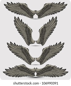 Wings set. Vector illustration.