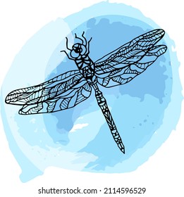 Wings Several Dragonflies Patterns Vector Stock Vector (Royalty Free ...