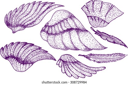wings, sketch