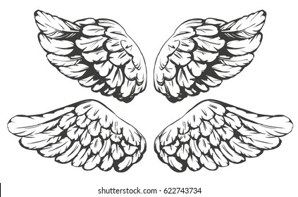 Wings Sketch Collection Cartoon Vector Illustration